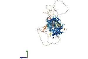 Protein Structure (PS) image for Adenylate Cyclase 9 (ADCY9) (AA 1-1353) protein (His tag) (ABIN7552007)