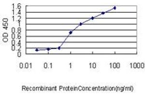 Detection limit for recombinant GST tagged DSU is approximately 0. (MREG Antikörper  (AA 1-214))