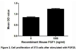 Image no. 3 for Fibroblast Growth Factor 23 (FGF23) (AA 25-251) (Active) protein (His tag) (ABIN6239859)