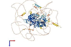 ST5 Protein (AA 1-1134) (His tag)