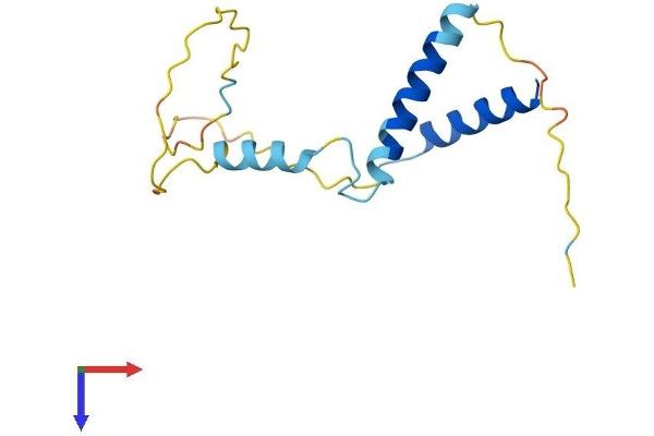 RGC32 Protein (AA 1-137) (His tag)