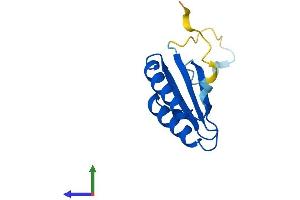 AlphaFold protein structure predicition of Mouse Recombinant Srp14 Protein, UniprotID P16254