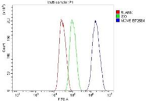 Flow Cytometry analysis of HEPG2 cells using anti-MCM5 antibody (ABIN7600582). (MCM5 Antikörper  (AA 206-723))