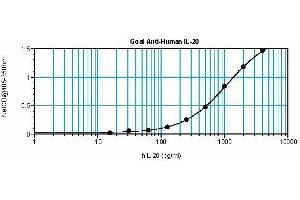 Image no. 1 for anti-Interleukin 20 (IL20) antibody (ABIN465437) (IL-20 Antikörper)