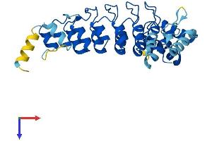 ASB8 Protein (AA 1-288) (His tag)