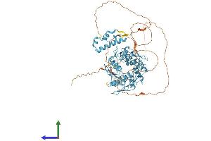 Protein Structure (PS) image for Zinc Finger Protein 74 (ZNF74) (AA 1-644) protein (His tag) (ABIN7545367)