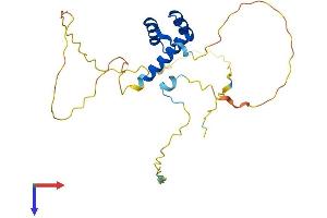 ISX Protein (AA 1-240) (His tag)