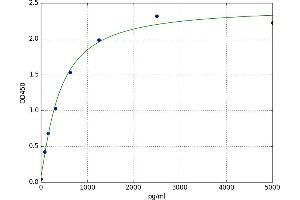 Coxsackie Virus and Adenovirus Receptor (CXADR) ELISA Kit