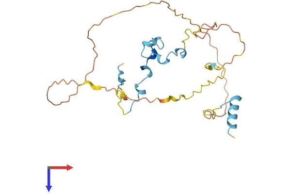 CDC42EP3 Protein (AA 1-254) (His tag)