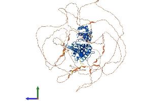 Protein Structure (PS) image for GNAS Complex Locus (GNAS) (AA 1-1133) protein (His tag) (ABIN7564142)