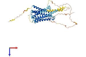 Serotonin Receptor 6 Protein (HTR6) (AA 1-440) (His tag)