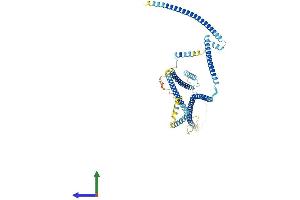 Protein Structure (PS) image for KIAA1984 (KIAA1984) (AA 1-534) protein (His tag) (ABIN7561921)