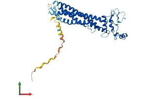 Protein Structure (PS) image for Retinal Outer Segment Membrane Protein 1 (ROM1) (AA 1-351) protein (His tag) (ABIN7563137)