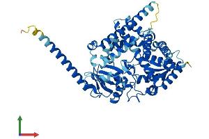 Protein Structure (PS) image for Cytochrome P450, Family 4, Subfamily X, Polypeptide 1 (CYP4X1) (AA 1-507) protein (His tag) (ABIN7557902)