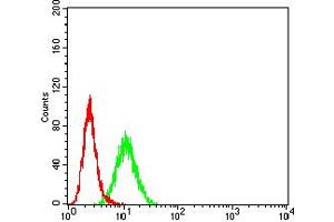Flow Cytometry (FACS) image for anti-Runt-Related Transcription Factor 3 (RUNX3) (AA 294-429) antibody (ABIN5611280)