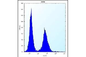 DNAJC9 Antibody (N-term) (ABIN656862 and ABIN2846067) flow cytometric analysis of Jurkat cells (right histogram) compared to a negative control cell (left histogram).