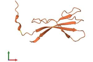 AlphaFold protein structure predicition of Human Recombinant DSCR10 Protein, UniprotID P59022