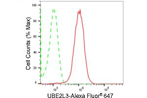 Flow cytometric analysis of UBE2L3 expression in HepG2 cells using UBE2L3 antibody (ABIN7800748), 1:2,000). (Rekombinanter UBE2L3 Antikörper)