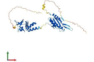 Protein Structure (PS) image for Potassium Channel Tetramerisation Domain Containing 13 (KCTD13) (AA 1-329) protein (His tag) (ABIN7552552)