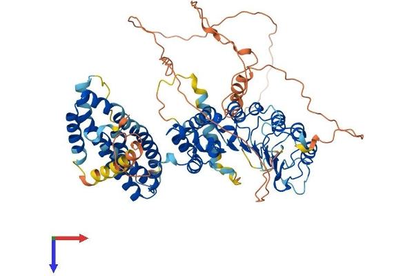 FBXL5 Protein (AA 1-691) (His tag)
