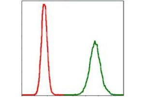 Flow Cytometry (FACS) image for anti-Protein Phosphatase 2A Activator, Regulatory Subunit 4 (PPP2R4) antibody (ABIN1108715) (PPP2R4 Antikörper)