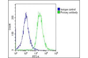 Overlay histogram showing HepG2 cells stained with (ABIN6244292 and ABIN6578679)(green line). (Transferrin Antikörper  (AA 432-466))