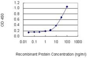 Detection limit for recombinant GST tagged MPO is 0. (Myeloperoxidase Antikörper  (AA 646-745))