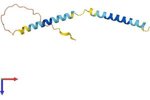 WW Domain Binding Protein 5 (WBP5) (AA 1-104) protein (His tag)