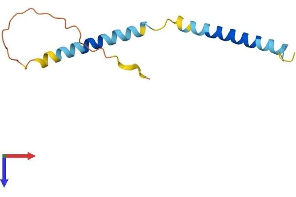 WW Domain Binding Protein 5 (WBP5) (AA 1-104) protein (His tag)