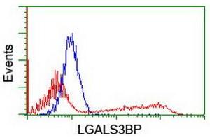 Image no. 2 for anti-Lectin, Galactoside-Binding, Soluble, 3 Binding Protein (LGALS3BP) (AA 19-300) antibody (ABIN1491078) (LGALS3BP Antikörper  (AA 19-300))