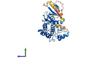 Protein Structure (PS) image for Pregnancy Up-Regulated Non-Ubiquitously Expressed CaM Kinase (PNCK) (AA 1-343) protein (His tag) (ABIN7548641)