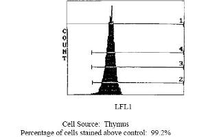 Mouse anti CD45 (LCA) OX-30 (CD45 Antikörper  (Biotin))
