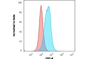 Flow Cytometry (FACS) image for anti-Thymidylate Synthetase (TYMS) (AA 60-174) antibody (ABIN6940822)