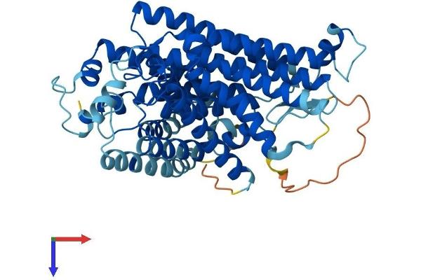 PIGW Protein (AA 1-504) (His tag)