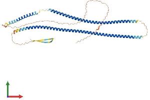 Protein Structure (PS) image for Keratin 14 (KRT14) (AA 1-472) protein (His tag) (ABIN7548677)
