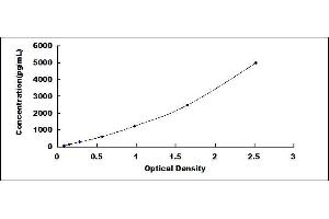 Typical standard curve (TP53I3 ELISA Kit)