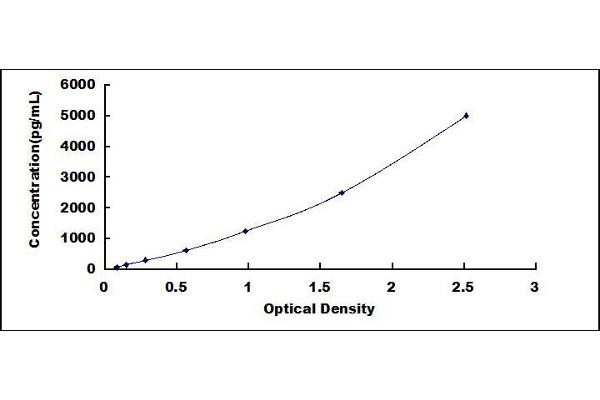 TP53I3 ELISA Kit