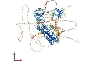 Protein Structure (PS) image for Ras and Rab Interactor 2 (RIN2) (AA 1-903) protein (His tag) (ABIN7564990)