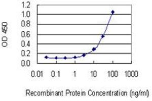 Detection limit for recombinant GST tagged AMACR is 1 ng/ml as a capture antibody. (AMACR Antikörper  (AA 1-198))