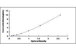 Complement Component 1, Q Subcomponent-Like 1 (C1qL1) ELISA Kit