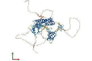 Protein Structure (PS) image for FYVE, RhoGEF and PH Domain Containing 3 (FGD3) (AA 1-733) protein (His tag) (ABIN7562670)
