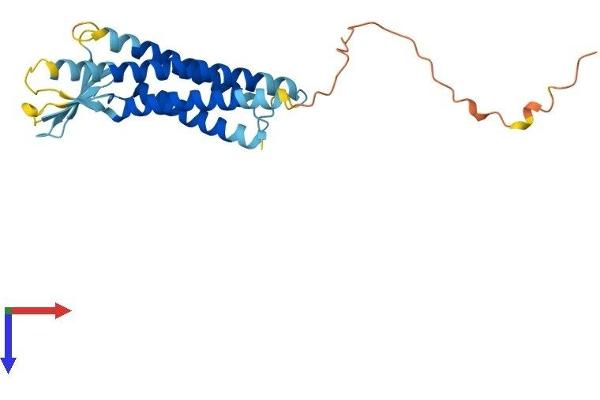Claudin 16 Protein (CLDN16) (AA 1-235) (His tag)