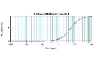 Image no. 1 for anti-Interleukin 4 (IL4) antibody (Biotin) (ABIN464882) (IL-4 Antikörper  (Biotin))
