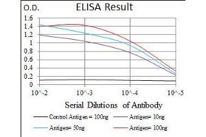 Black line: Control Antigen (100 ng), Purple line: Antigen(10 ng), Blue line: Antigen (50 ng), Red line: Antigen (100 ng), (PLAGL1 Antikörper  (AA 118-222))