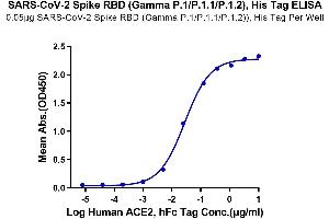 ELISA image for SARS-CoV-2 Spike (P.1 - gamma), (RBD) protein (His tag) (ABIN7274758)