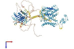 SLC4A7 Protein (AA 1-1034) (His tag)