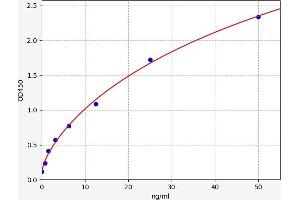 Peroxiredoxin 5 ELISA Kit