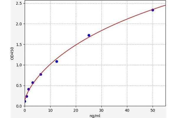 Peroxiredoxin 5 ELISA Kit