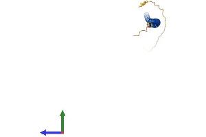 Protein Structure (PS) image for Synaptonemal Complex Central Element Protein 2 (SYCE2) (AA 1-171) protein (His tag) (ABIN7557405)