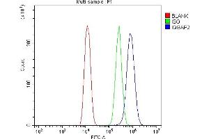 Flow Cytometry analysis of U20S cells using anti-IQGAP2 antibody (ABIN5692877). (IQGAP2 Antikörper  (AA 1329-1544))
